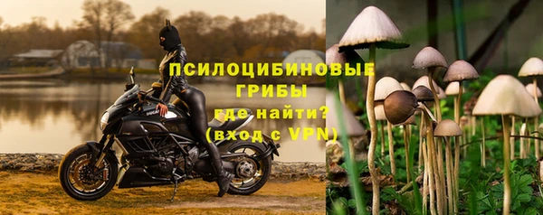 молекула духа Коряжма