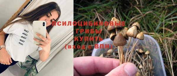 альфа пвп Корсаков