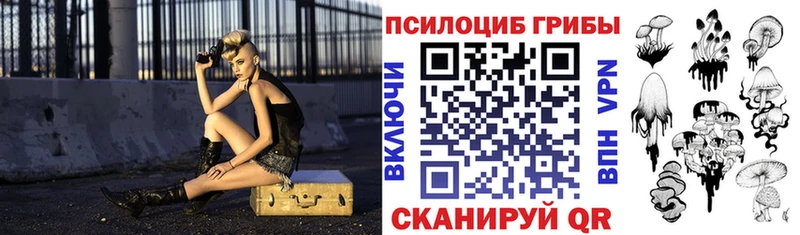 Галлюциногенные грибы мицелий  Купить где  Вельск 